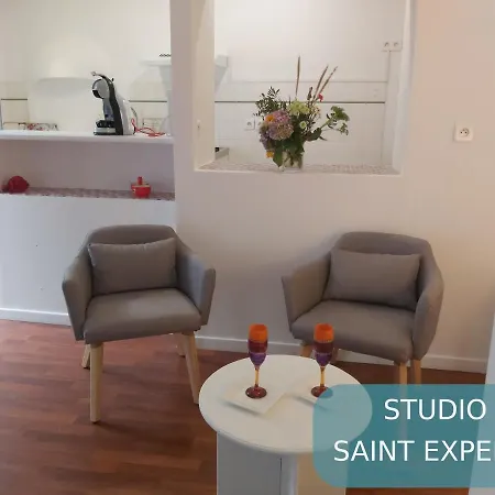 Bernadette' Cosy Flat - 3 Minutes Walk Main Door To Sanctuary Entrance- Old Town - Bernadette De Soubirous's Neighborhood - Chapel For Prayer On Site 3* Lourdes