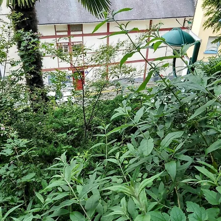 Hotel Bernadette' Cosy Flat - 3 Minutes Walk Main Door To Sanctuary Entrance- Old Town - Bernadette De Soubirous's Neighborhood - Chapel For Prayer On Site 3*