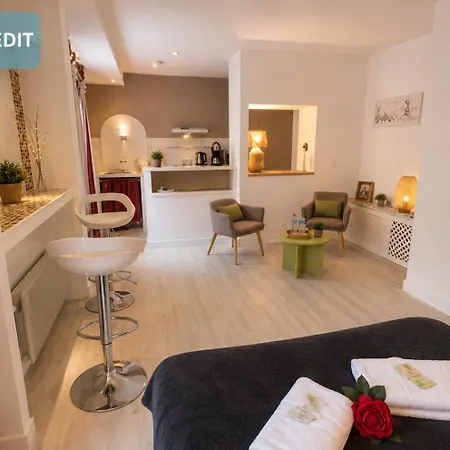 Hotel Bernadette' Cosy Flat - 3 Minutes Walk Main Door To Sanctuary Entrance- Old Town - Bernadette De Soubirous's Neighborhood - Chapel For Prayer On Site Lourdes