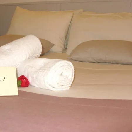 Bernadette' Cosy Flat - 3 Minutes Walk Main Door To Sanctuary Entrance- Old Town - Bernadette De Soubirous's Neighborhood - Chapel For Prayer On Site Hotel Lourdes