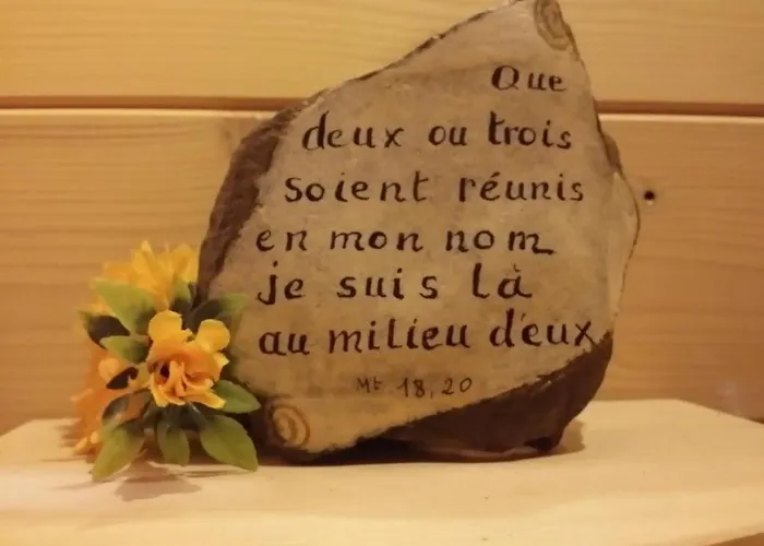 Bernadette' Cosy Flat - 3 Minutes Walk Main Door To Sanctuary Entrance- Old Town - Bernadette De Soubirous's Neighborhood - Chapel For Prayer On Site 3* לורדה