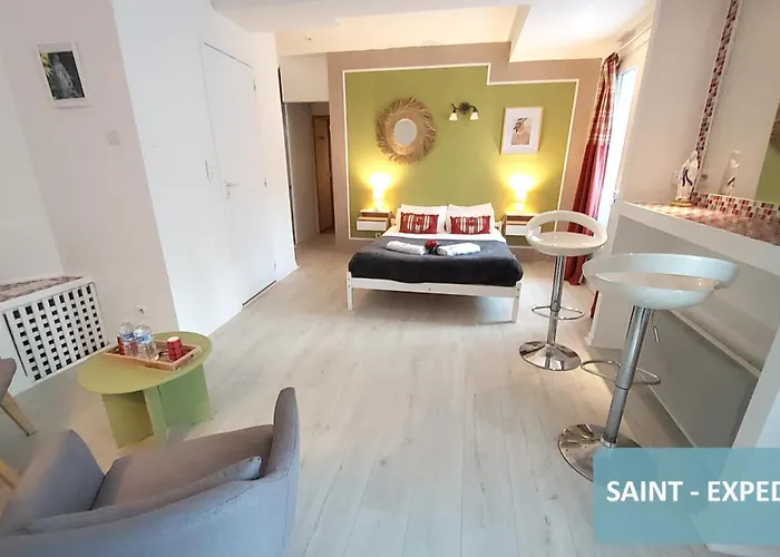 Bernadette' Cosy Flat - 3 Minutes Walk Main Door To Sanctuary Entrance- Old Town - Bernadette De Soubirous's Neighborhood - Chapel For Prayer On Site מלון לורדה