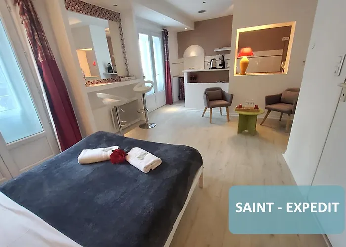 Bernadette' Cosy Flat - 3 Minutes Walk Main Door To Sanctuary Entrance- Old Town - Bernadette De Soubirous's Neighborhood - Chapel For Prayer On Site