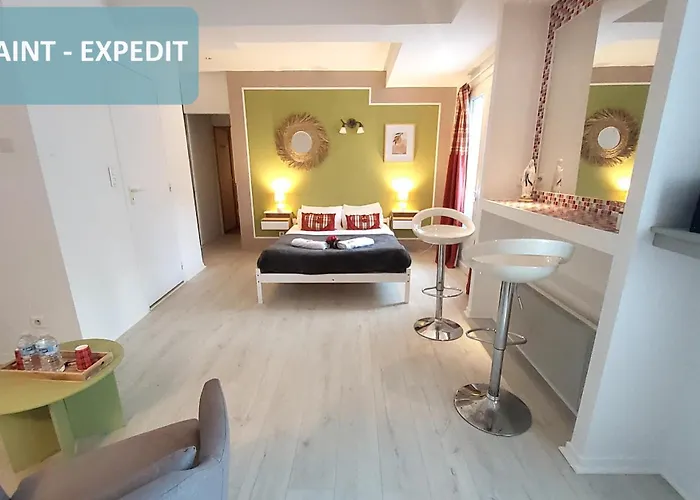 Bernadette' Cosy Flat - 3 Minutes Walk Main Door To Sanctuary Entrance- Old Town - Bernadette De Soubirous's Neighborhood - Chapel For Prayer On Site מלון 3*