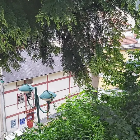 Bernadette' Cosy Flat - 3 Minutes Walk Main Door To Sanctuary Entrance- Old Town - Bernadette De Soubirous's Neighborhood - Chapel For Prayer On Site