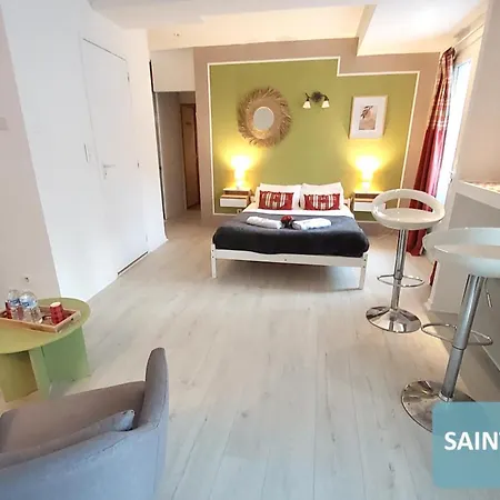 Bernadette' Cosy Flat - 3 Minutes Walk Main Door To Sanctuary Entrance- Old Town - Bernadette De Soubirous's Neighborhood - Chapel For Prayer On Site Hotel Lurdy