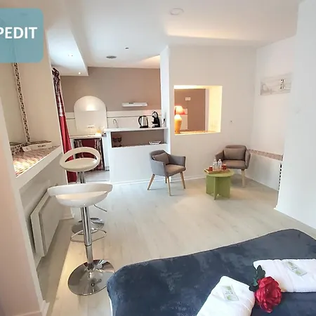 Bernadette' Cosy Flat - 3 Minutes Walk Main Door To Sanctuary Entrance- Old Town - Bernadette De Soubirous's Neighborhood - Chapel For Prayer On Site Hotel Lourdes