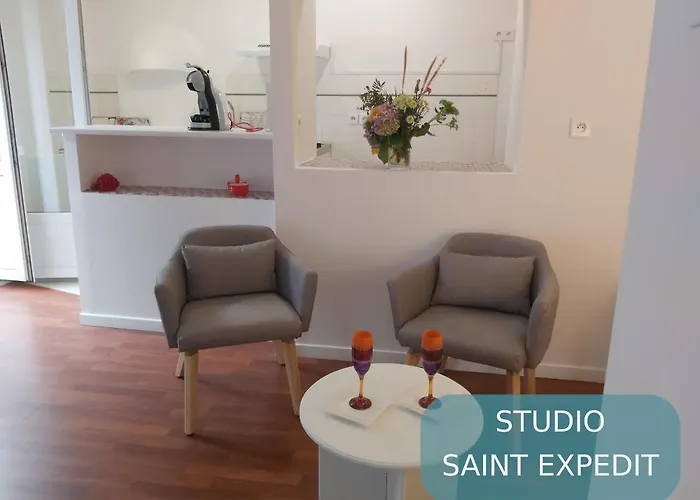 Bernadette' Cosy Flat - 3 Minutes Walk Main Door To Sanctuary Entrance- Old Town - Bernadette De Soubirous's Neighborhood - Chapel For Prayer On Site 3* Lourdes