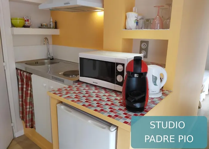 Bernadette' Cosy Flat - 3 Minutes Walk Main Door To Sanctuary Entrance- Old Town - Bernadette De Soubirous's Neighborhood - Chapel For Prayer On Site Hotel 3*