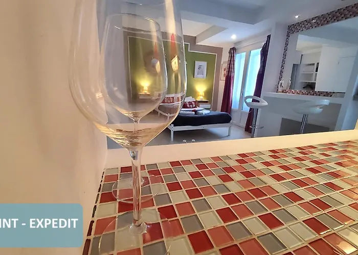 Bernadette' Cosy Flat - 3 Minutes Walk Main Door To Sanctuary Entrance- Old Town - Bernadette De Soubirous's Neighborhood - Chapel For Prayer On Site Lourdes