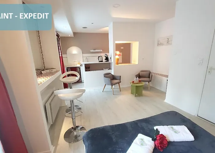 Bernadette' Cosy Flat - 3 Minutes Walk Main Door To Sanctuary Entrance- Old Town - Bernadette De Soubirous's Neighborhood - Chapel For Prayer On Site Hotel Lourdes