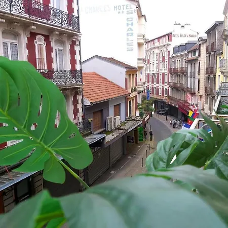 Bernadette' Cosy Flat - 3 Minutes Walk Main Door To Sanctuary Entrance- Old Town - Bernadette De Soubirous's Neighborhood - Chapel For Prayer On Site Hotel