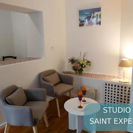 Hotel Bernadette' Cosy Flat - 3 Minutes Walk Main Door To Sanctuary Entrance- Old Town - Bernadette De Soubirous's Neighborhood - Chapel For Prayer On Site