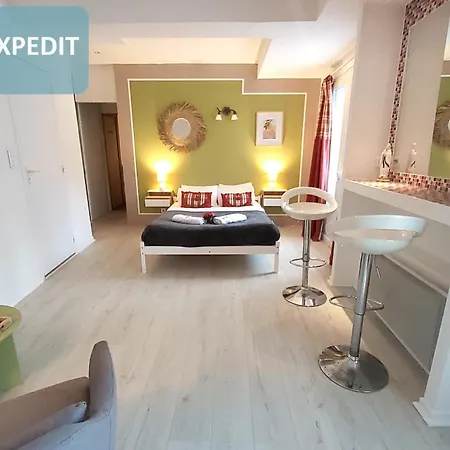 Bernadette' Cosy Flat - 3 Minutes Walk Main Door To Sanctuary Entrance- Old Town - Bernadette De Soubirous's Neighborhood - Chapel For Prayer On Site Hotel 3*