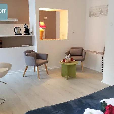 Bernadette' Cosy Flat - 3 Minutes Walk Main Door To Sanctuary Entrance- Old Town - Bernadette De Soubirous's Neighborhood - Chapel For Prayer On Site 루르드