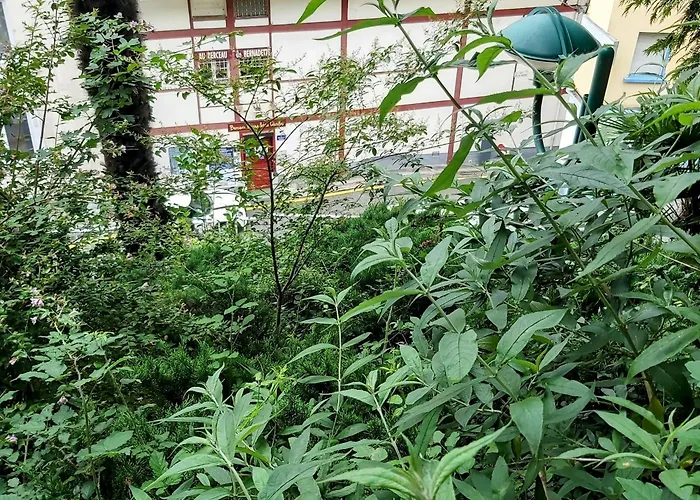 Hotell Bernadette' Cosy Flat - 3 Minutes Walk Main Door To Sanctuary Entrance- Old Town - Bernadette De Soubirous's Neighborhood - Chapel For Prayer On Site 3*