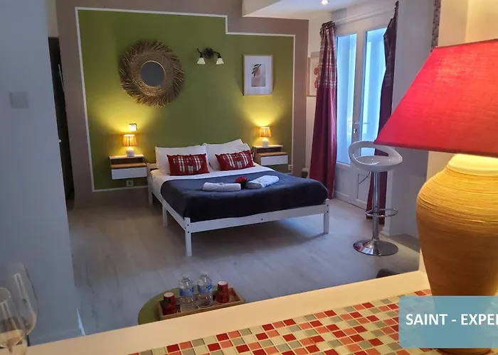 Bernadette' Cosy Flat - 3 Minutes Walk Main Door To Sanctuary Entrance- Old Town - Bernadette De Soubirous's Neighborhood - Chapel For Prayer On Site Hotell